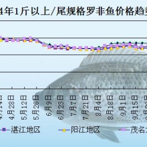 �_���~�܈��~�rƽ��(w��n)  ������N����(y��ng)�����m(x��)�o������