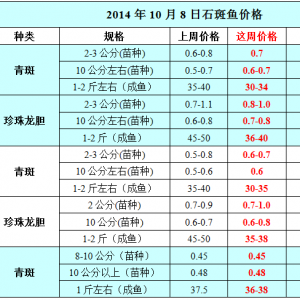 2014��10��8��ʯ���~��߅�r