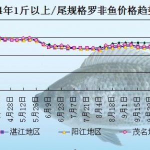 �_���~�܈���N������(y��ng)��  �����~�rڅ���ϝq