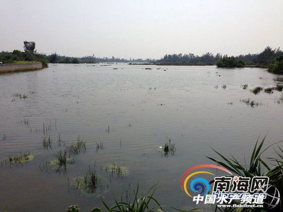 ����Q�r����ˮ���r�� ��������ˮ����������