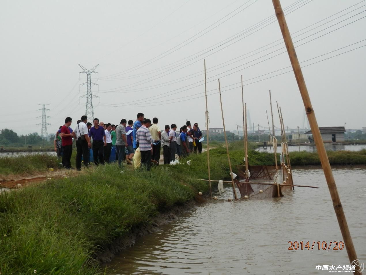 �x�h���������ڽ����µĲ��~�u���wϵ