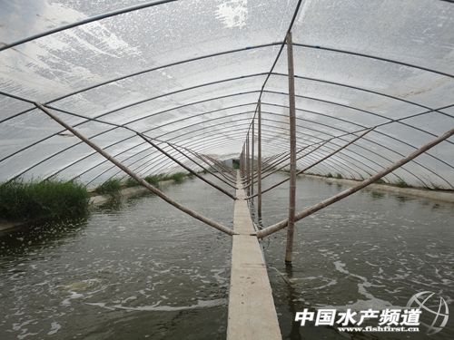 360��չʾ��100%�B���ʵ���|С���Bֳ