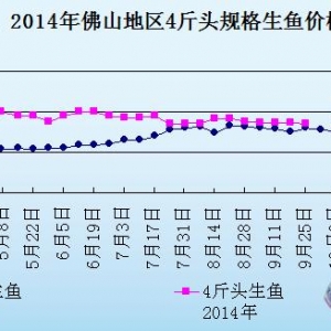 ���~�܈������١������  �~�r���wƫ��