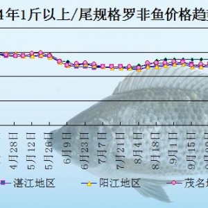 �_���~�܈󣺃�(n��i)�N��ӹ��S��ُ����  ���w����ƫ��