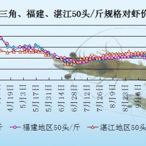 ���r�܈��Ј�������  ���r���r�R��