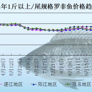 �_���~�܈���N�����o��  �~�rһ���ٽ�