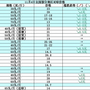 ���r��߅�r�����r��������  ����څ�ڵ���