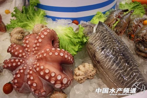 ȫ�򺣮aƷ�|�W�Ї��Ј�