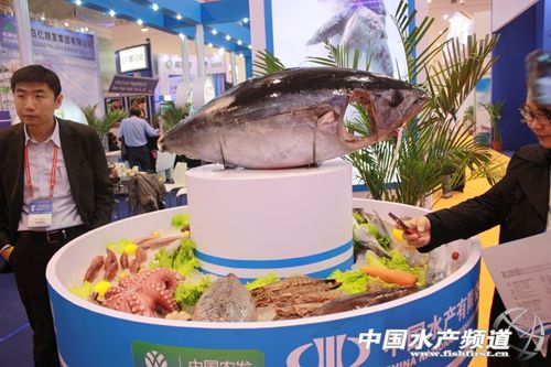 13�������m���r��Iչ���������}