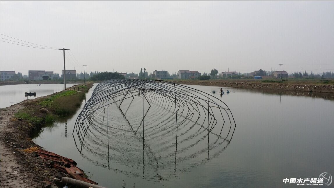 �Ϻ��r����e�s�p50% ������ꪶ�����