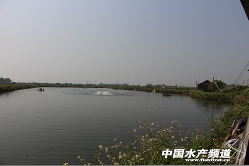 �B�r������Ο��ɣ��{ˮ�M��һ����λ��