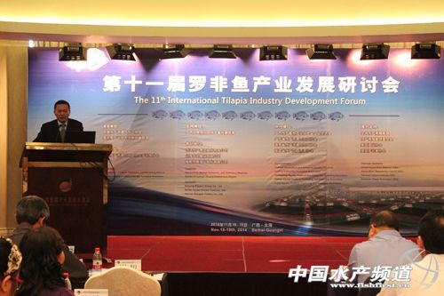 �_���~�a�I�D������ �����J�C�����h