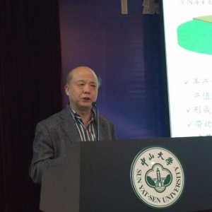 �����������������ԏ���Ʒϵ����Ҫ