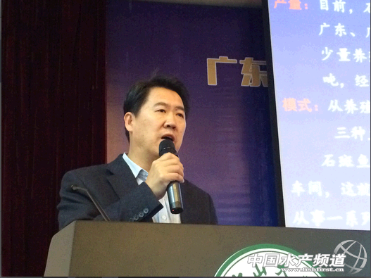 ��ӡ����ʯ���~�Bֳ�F���չ��