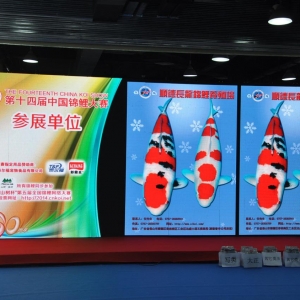 ��ʮ�Č��Ї��\����ِ