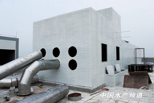 �h������� �����ʩ����