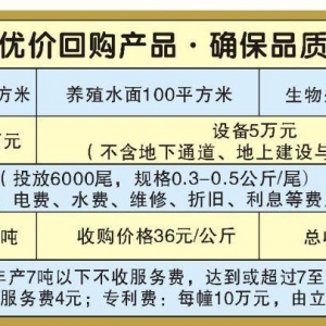 ��{ģʽ��һ�N�m�����r(n��ng)�彨�O(sh��)�Ą�(chu��ng)��ģʽ