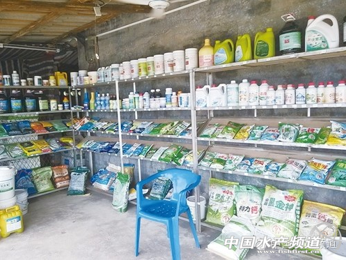 �Oˎ��I�ځy�Ќ�����