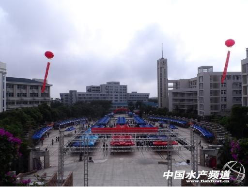 �V�|ʡ2015�ø�У���I������Ҋ����������֕�����