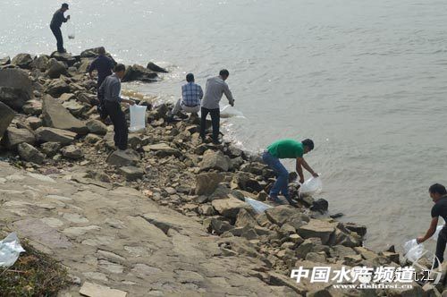 ���~�����g�ļҏ����Ї��Ϻ����Ž�