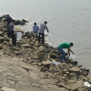 ���~�����g�ļҏ����Ї��Ϻ����Ž�