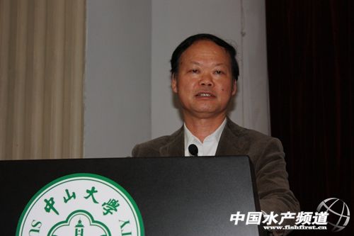 ����ɭ��ʯ���~���ϱȲ��ص���1.0