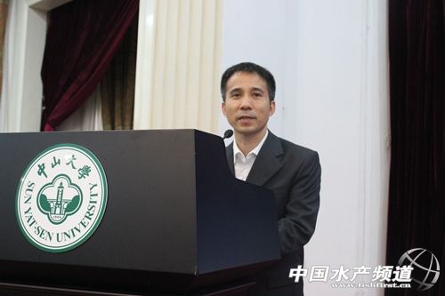 ���Դ���ʯ���~�N�I�lչ��4�c˼��