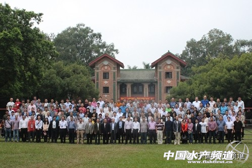 ���ذ���ʯ���~�a�I���M����ٰlչ��