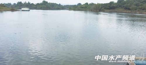 �V�|÷��ˮ����~�Bֳ�śr