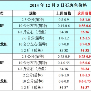 2014��12��3��ʯ���~��߅�r