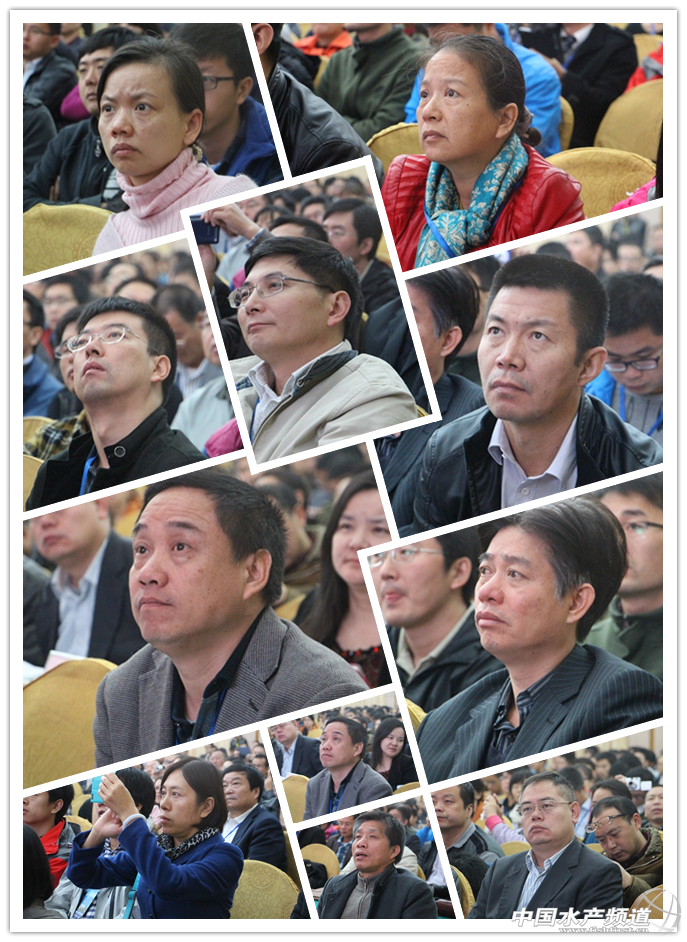 �۽����A�rз�������r�����ى����Y��ӑՓ���c