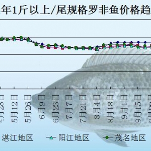 �_���~�r���܈����N����  �~�r����