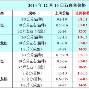 2014��12��10��ʯ���~��߅�r