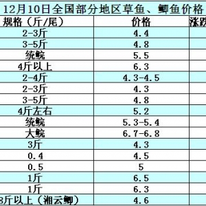 2014��12��10�ղ��ֵ؅^���~���a�~��߅�r