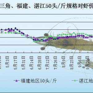 ���r�r���܈����w���r�� �r�r���ڃȲ���