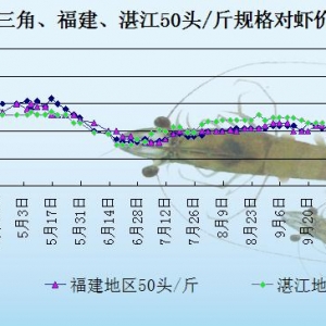 ���r��߅�r�������r��  �r�r�����Нq