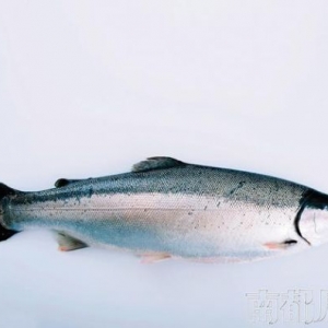 �����~ռ�I(l��ng)����