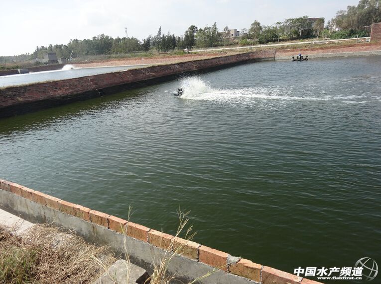 �A���B�r����֮�R��ᓣ���λ�ص��ܶ��B���r�Bֳģʽ