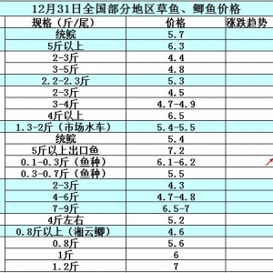 2014��12��31�ղ��ֵ؅^���~���a�~��߅�r