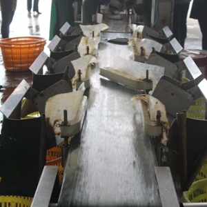 �����r�I����ˮ�a�Bֳ���վC���ṩ��