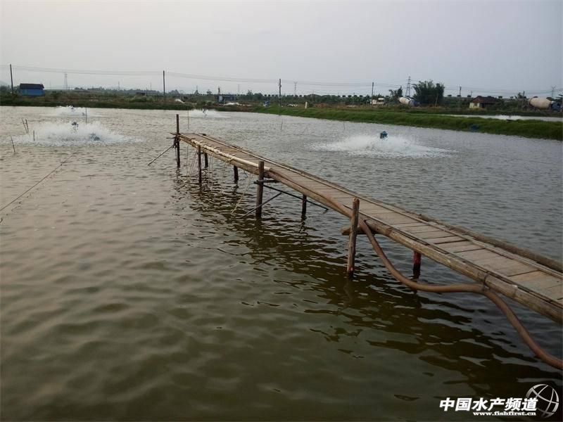 2014���麣�|�~�Bֳ�a�I�������