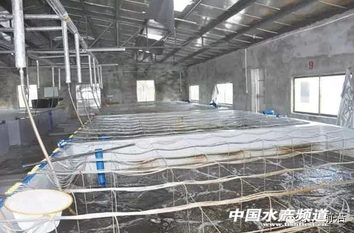 �V�����r�a�I�lչ�{���c����