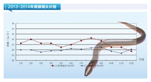 �S�X���r�������څ�ݡ�����ˮ�aǰ�ء�2015��1�¿��Ј�څ��