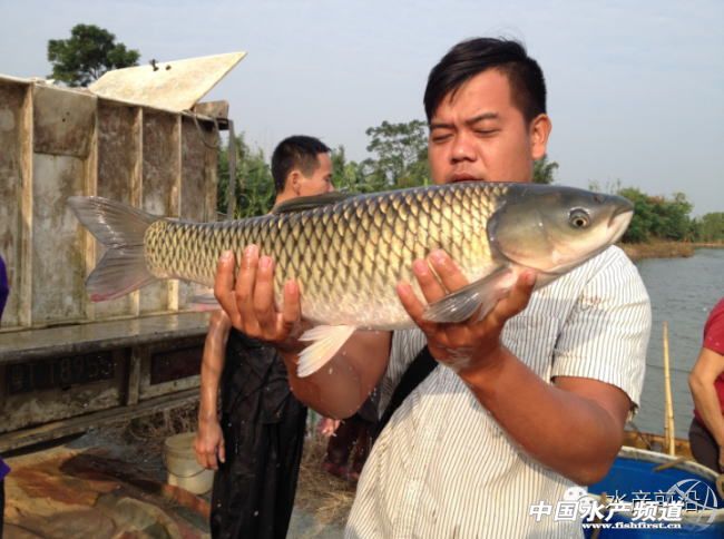 ���x�V�|��ɽ�؅^�~�r���BģʽҪ�c