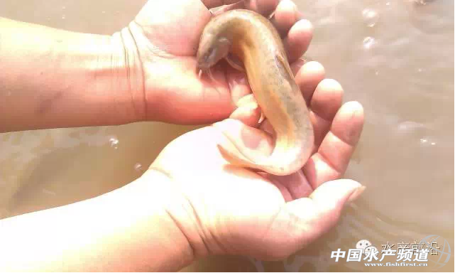 �_(t��i)�����qҪ�@���B(y��ng)��