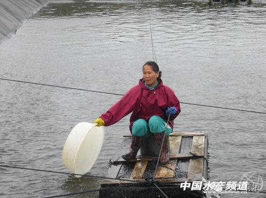 Ů�Ի��S���m���B(y��ng)�r�����ņ᣿