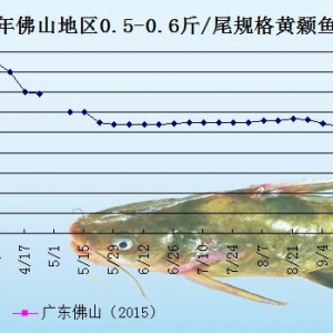 �S��~�r���܈��Ј������Ӵ�  �V�|�~�r���@�ϝq