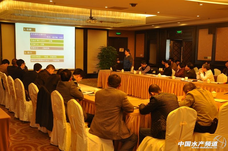 �B�T��(du��)�r�N��a(ch��n)�I(y��)���ص��h(yu��n)��Σ�C(j��)�ķ�