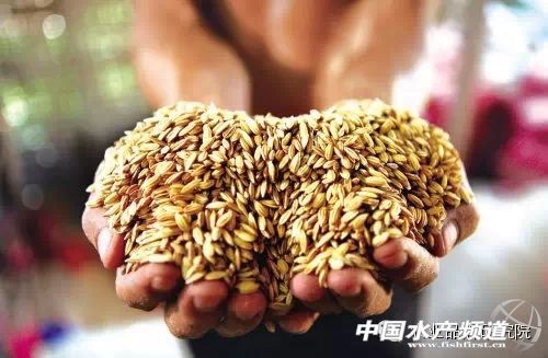 ��a�ģ��Ї�(gu��)�r(n��ng)�I(y��)���R��ǰ��δ�е�����(zh��n)