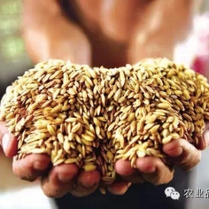 ��a�ģ��Ї��r(n��ng)�I(y��)���R��ǰ��δ�е�����(zh��n)